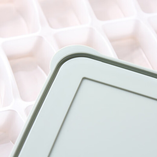 LOCK&LOCK Large Capacity Dumpling Freezer Box Storage Box Set Dumpling Box Dumpling Quick Frozen Box Wonton Box Mint Green