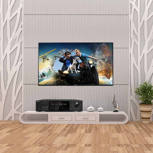 山水（SANSUI）DM-20A 家庭影院功放机 音响 音箱 5.1声道功放 大功率 支持智能蓝牙/USB 黑色 旗舰版
