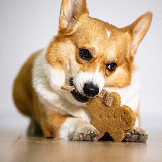 GiGwi Dog Toy Big Biscuit People Teeth Cleaning Film Rubber Molar Teeth Cleaning Bite Resistant Puppy Old Dog Dog Pet Toy