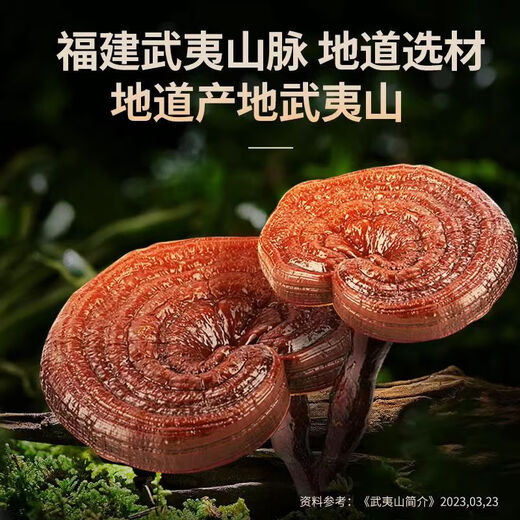 President Marke Breaking Wall Ganoderma Lucidum Spore Pulverkapseln Ganoderma lucidum spore pulver brechen wand ganoderma lucidum spore Old Style 1 Box 90 Kapseln im Juni 2025 abgelaufen