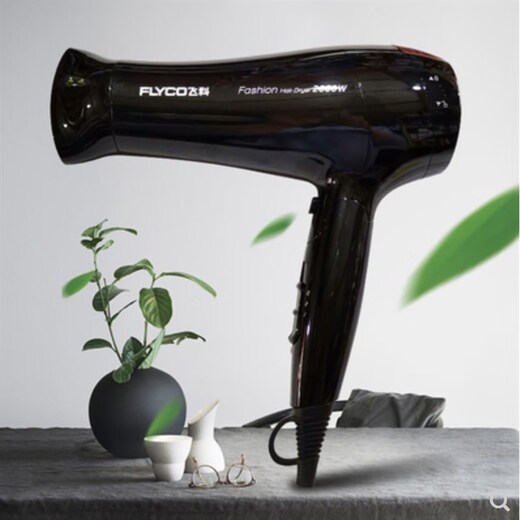 Feike Secador de cabello de alta potencia secador de cabello peluquero para el hogar ion negativo y aire caliente secador de cabello silencioso FH6218 Feike FH6218 Red Model 2000W