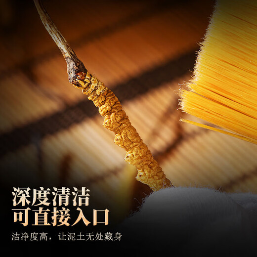 
[Tibet Straight Hair] Nagqu First Stubble Cordyceps Authentic High-altitude Dried Cordyceps Gift Boxes First Choice Special Cordyceps King 2 Roots/G 100 Roots