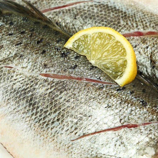 Seaview Frozen Tri-Sea Bass 880g/2 Pieces (Ingredient Pack) Marine Fish Fresh Fish Seafood