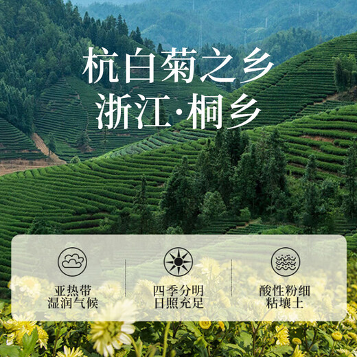 内廷上用北京同仁堂菊花茶胎菊55g 桐乡杭白菊花蕾枸杞金银玫瑰花草养生茶