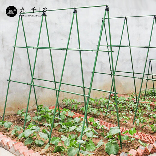 Jiu Thousand Valley Gardening Support Balcony Garden Plant Climbing Frame Bean Cucumber Frame Vegetable Support Frame Pipe Diameter 11mm7055