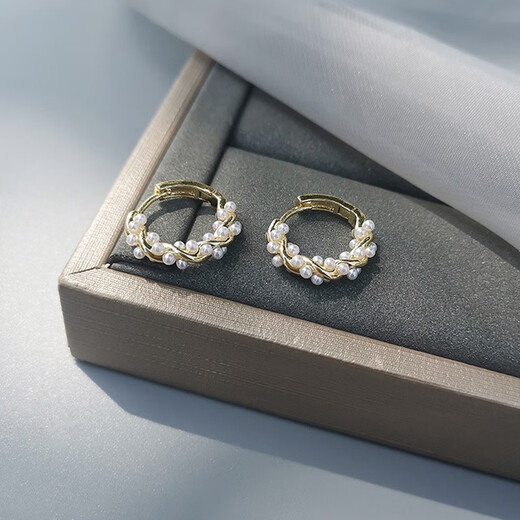 Idel Imitation Pearl Earrings High-end Earrings 2025 New Trendy Korean Temperament Internet Celebrity Circle Earrings Women's Earrings Imitation Pearl Earrings E2061