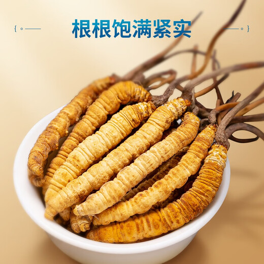 Juhetai First Cordyceps Spring Festival Gift Box 40 tubes 10g New Year's exquisite gifts for elders and parents [Cordyceps Gift Box] Peacock Green Series 30 tubes 7.5g pack