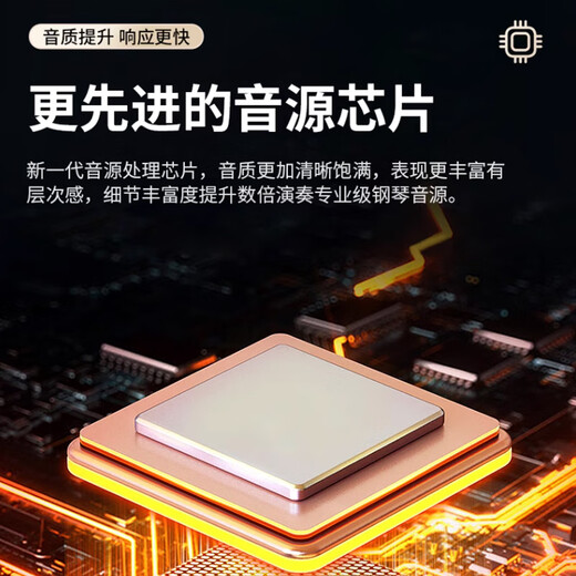 Octave Baby Foldable Electronic Piano for Adults 88 Keys Portable Rechargeable Electric Piano for Home Kindergartens and Children Beginners 61 Keys 61 Keys - Purple Basic Model Standard