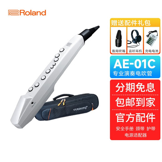 罗兰（Roland）ROLAND 罗兰电吹管  AE-01电子萨克斯 成人初学管乐 AE01C电吹管（带民族音色）