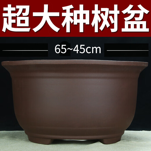 Extra-large purple clay flower pot planting old piles above 60cm super large wealth tree iron tree ceramic pot Purple clay x 854 medium size four