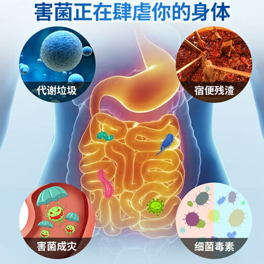 Probiotics Concentrated Tablets for Adults and Elderly Lactic Acid Bacteria with 100 Billions of Live Bacteria Names Five Bottles Consolidated Pack Great Value