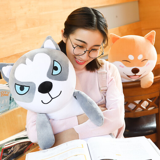 Magic Dragon Cute Sleeping Plush Toy Dog Doll Rag Doll Girl Sleeping Long Pillow Doll Cute Puppy Dog Rag Doll Birthday Gift for Girls Husky 60cm
