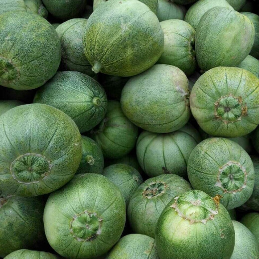 Zhongke Maohua Fruit Seed Green Melon Seed Emerald South Korea Emerald Jade Green Skin Green Flesh Melon Seed South Korea Emerald 600 capsules/bag anti-crack type dark green skin