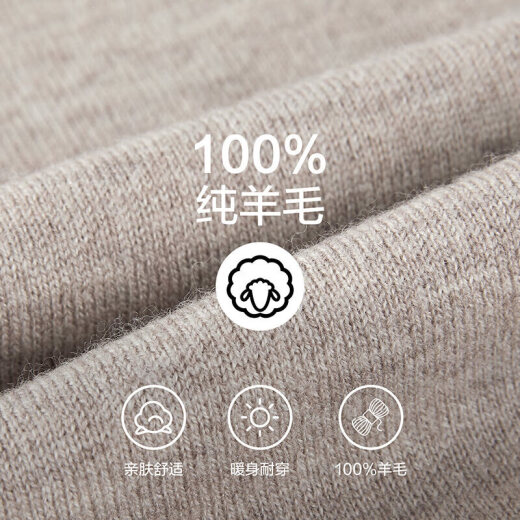 HLA海澜之家【品牌专供】长袖针织衫男轻商务圆领纯羊毛保暖毛衣