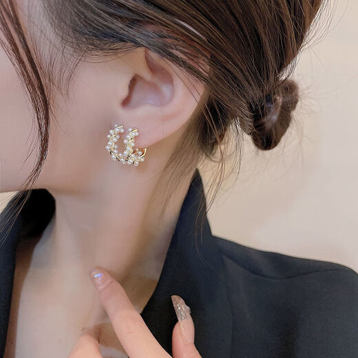 Countercurrent Fish Minimalist Style High-end Wrap Circle Earrings Women's Light Luxurious Temperament Earrings French Romantic Internet Celebrity Earrings