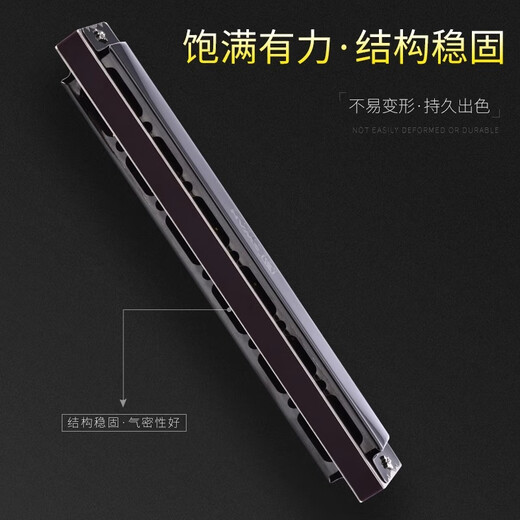 天鹅德国进口音簧天鹅28孔高端复音c调口琴 高级成人专业重音演奏级琴 28孔D调高端专业演奏复音