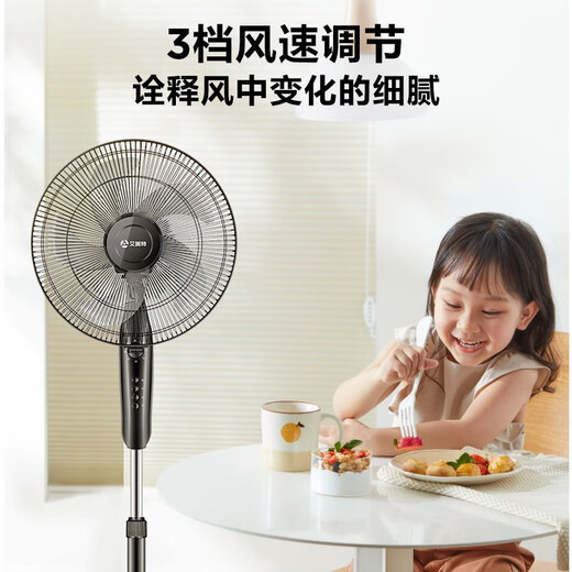 艾美特电风扇落地扇家用六叶风扇立式定时机械大风力风扇 3523