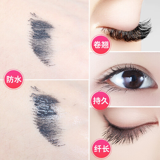 ZEESEA Zese Color Cosmetics Complete Beginner Makeup Set for Girlfriend Anniversary Valentine New Year Gift