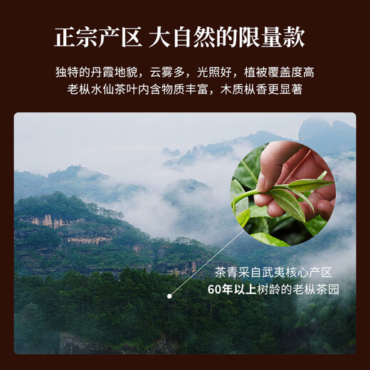 华祥苑乌龙茶国缤茶 武夷正岩老枞水仙特级125g中火茶叶礼盒送礼