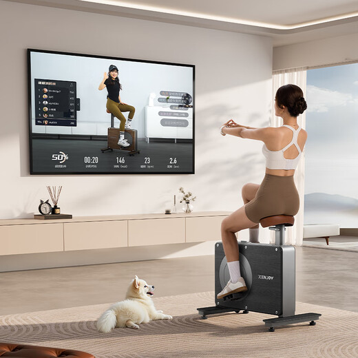 绝影小木马动感单车家用款室内自行车智能健身器材有氧骑行XJ-XS30B2