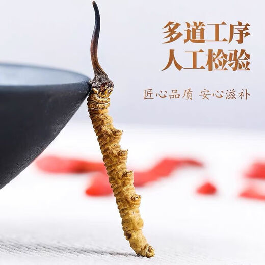 Baiwanji authentic Cordyceps sinensis 3-4 roots/g Cordyceps sinensis Cordyceps gift box price 1 root