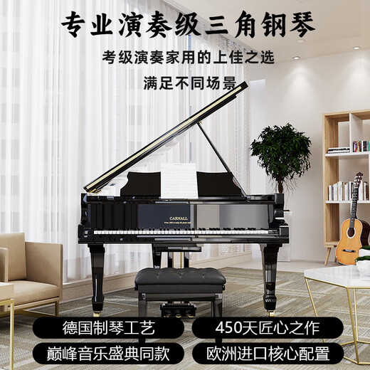 卡纳尔（CARNALL）全新家用三角钢琴成人专业演奏实木真钢琴德国进口配置高端教学用 GC5 高端黑 [德国三复振式音源]