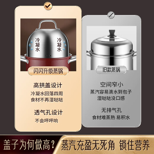 Shining Premium Fryer Household Small Fryer Small Deep Pot Fryer Stainless Steel Tempura Frying Skewers Pot with Filter Gas Small Fryer with Filter 18cm