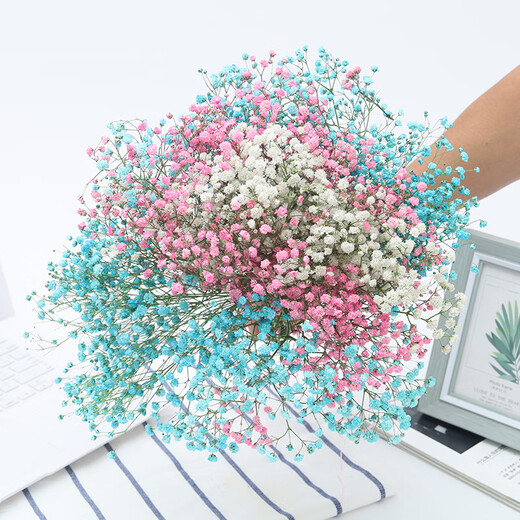 AIMAN Yunnan straight-haired dried flower bouquet real flower home furnishing decoration small fresh living room office decoration air-dried bouquet white + pink gypsophila without vase