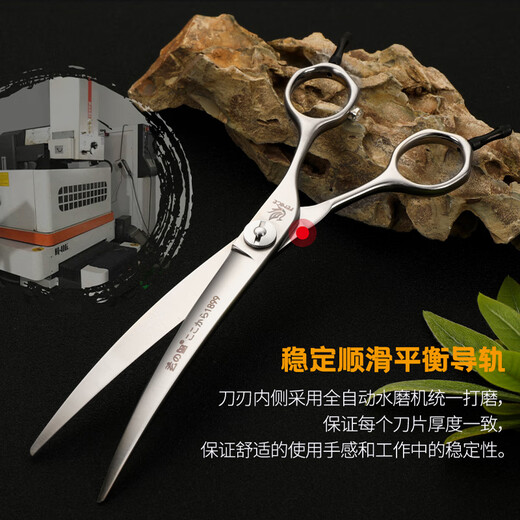 Black Bird Master Pet Scissors Professional Pet Grooming Scissors Set Straight Curved Scissors Fish Bone Scissors Dental Scissors Beautician Shop Tools BS 6.75 Inch Comprehensive Small Bend