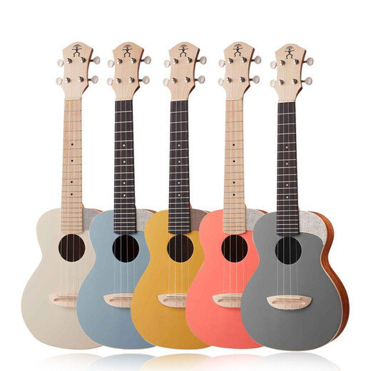 
Rainbow Man (aNueNue) Ukulele UC10 Vancouver Beginners for Men and Women Getting Started 23-inch Small Guitar UC10LC Live Coral Orange