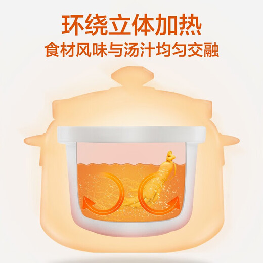 苏泊尔（SUPOR）电炖锅家用智能电炖盅电砂锅煲汤锅炖汤锅3升容量煲煮粥锅婴儿辅食锅燕窝3-4人用煮粥神器多功能 3L 【3L白瓷内胆】DG30YC826