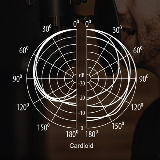 Behringer Behringer BM1 microphone computer microphone live broadcast sound card karaoke audiobook recording large diaphragm heart-shaped condenser microphone BM1 desktop stand