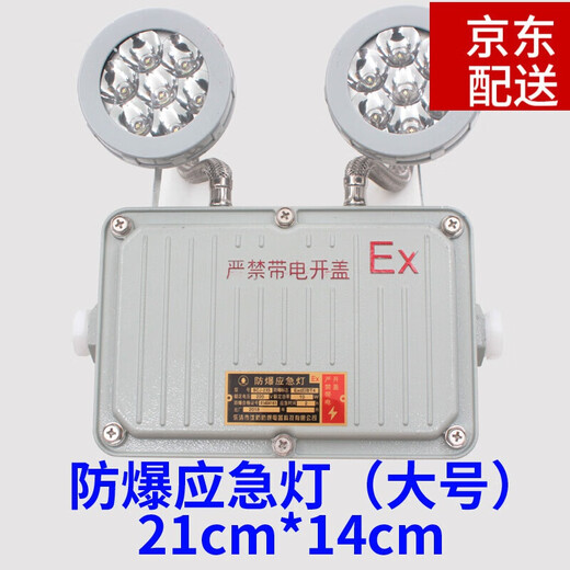 防爆应急灯BCJ防爆标志灯双面防爆安全出口疏散指示双头两用灯 防爆应急灯(大号)