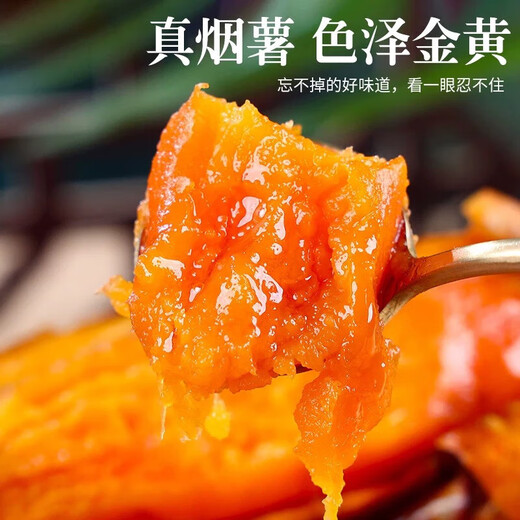 Freshly dug tobacco sweet potato, fresh air fryer roasted sweet potato, farmhouse sand red heart sweet potato, authentic tobacco potato No. 25, 9Jin Jin equal to 0.5kg, with box, medium large fruit (single fruit 150g-500g)