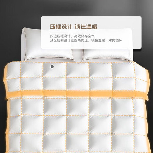 Mengjie Home Textile Furry Zone 95% White Goosevelt Thick Quilt in Winter Quilt Thick in Keep Warm All seasons available Single and Double Quilt Core Space Station Thermal Energy 95% White Goosevelt Quilt 248cm*248cm