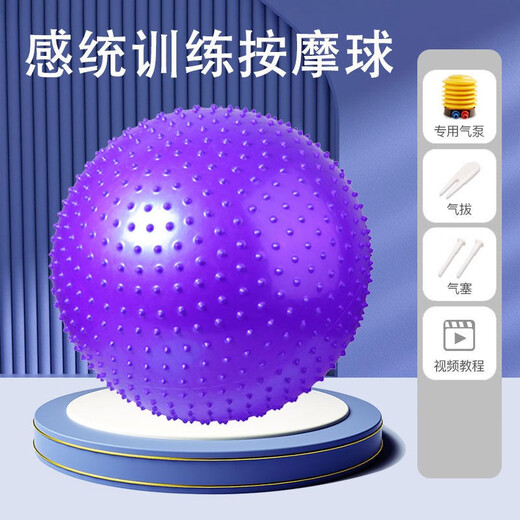 晨升瑜伽球按摩加厚防爆成人健身球家用儿童感球训练大龙球宝宝平衡球 紫-通光面款-【加厚抗压 无害】 45cm建议身高150以下