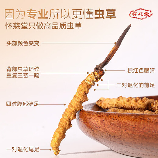Huaici Tang Cordyceps 4 raíces/g 40 raíces caja de regalo Cordyceps tónicos regalos del día de la madre