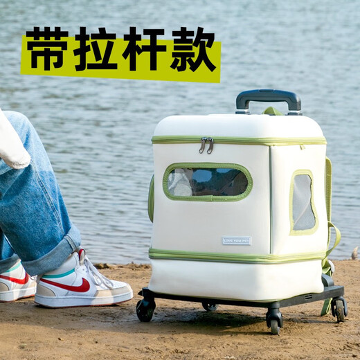 D-cat Katzentasche, Trolley, Hundetasche, Raumkapsel, zum Ausgehen, extra große Katzentasche, zum Ausgehen mit Fenster, große Katzentasche mit großem Platz, 20Jin Jin entspricht 0,5 kg fetter Katze, sorgenfreier Camping-Stil, Trolley-Katzentasche