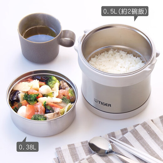 TIGER insulated lunch box LXB-A100/A10C Japanese style office worker 304 stainless steel lunch box double layer student lunch box stainless steel color XC + portable bag