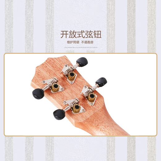 Ukulélé du fusion ukulélé vignette complète en acajou complet Small Guitar Muc700 Sabiliwood 23 pouces