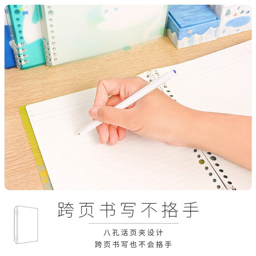 锦宫（King Jim）9855TTE TEFRENU活页线圈本 B5笔记本学生办公手账本记事本 宫下和限定款-花圃