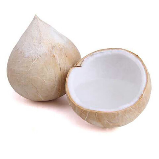 SF Thai Coconut King, freshly imported coconuts, fresh seasonal fruits, 5 pieces, each about 400g