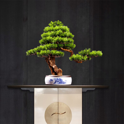 Junxinxin living room welcoming pine plant bonsai decoration indoor desktop simulation green plant potted artificial flowers hotel decoration art explosion pot-Jinqiu [small size]