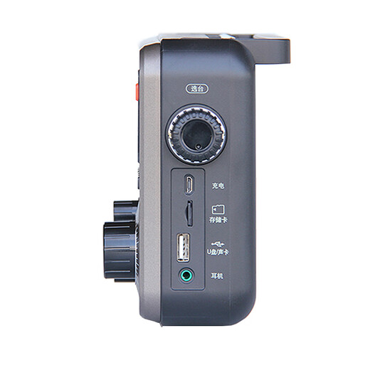 Tecsun RP-309 Portable DSP Digital Demodulation Radio Bluetooth TF Card U Disk Playback Desktop Elderly Rechargeable Standard + Charger