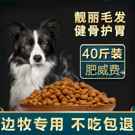 Mengxier Border Collie Dog Food Special for Puppies and Adult Dogs General Natural Food Calcium Supplement for Medium and Large Border Collies Beef Flavor 0g 0 Pack Border Collie Adult Dog Food 10Jin Jin is equal to 0.5kg