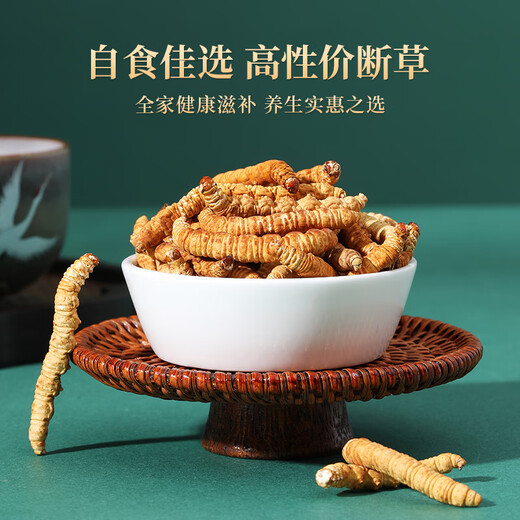 紫蓝花海冬虫夏草50g大号断草 新干虫草滋补品断虫草自食【健康礼盒】