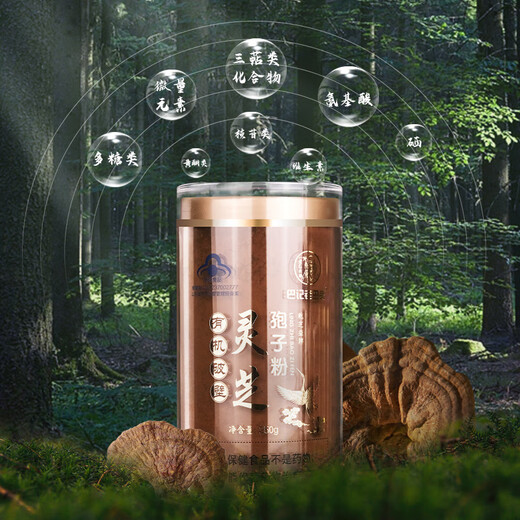 Baji Laobatou high content organic blue hat broken wall Ganoderma lucidum spore powder Changbaishan Linzhi robe powder health powder high content 500g [two cans] Laobatou blue hat broken wall organic Ganoderma lucidum spore powder