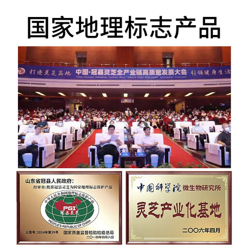 
Break wall-removing Ganoderma lucidum spore powder gift box health food traditional nourishing to enhance immunity Spore powder gift box 120g/box X4