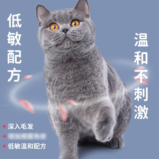 Pet no-wash foam 200ml dog shower gel deodorizing and decontamination no-wash care cat shampoo mousse bath liquid pet no-wash foam 200ml