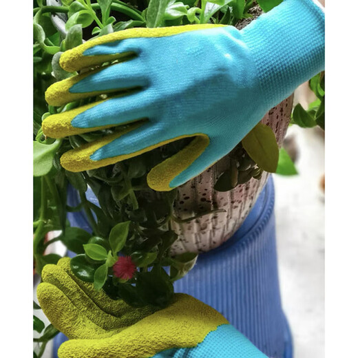 Kunsui Children's Protective Gloves Outdoor Sports Catch the Sea Anti-Zip Feeding Pets Anti-Bite School Work Class Multifunctional Gloves [Blue Green] Protective Gloves [5-12 Years Old] 1 Pair